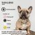 Tickless MINI Dog Zöld tölthető ultrahangos kullancs és bolhariasztó kutyák számára